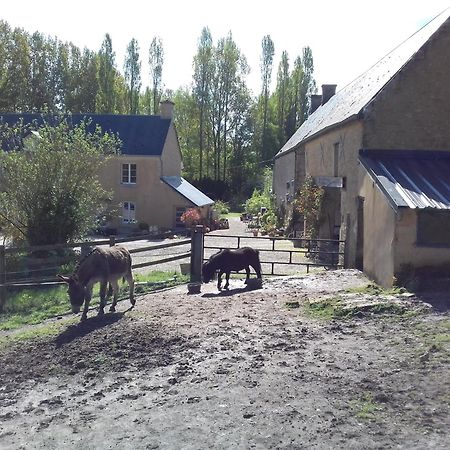 Gite Du Jardin Des Sources Villa Vaux-sur-Seulles Exteriör bild