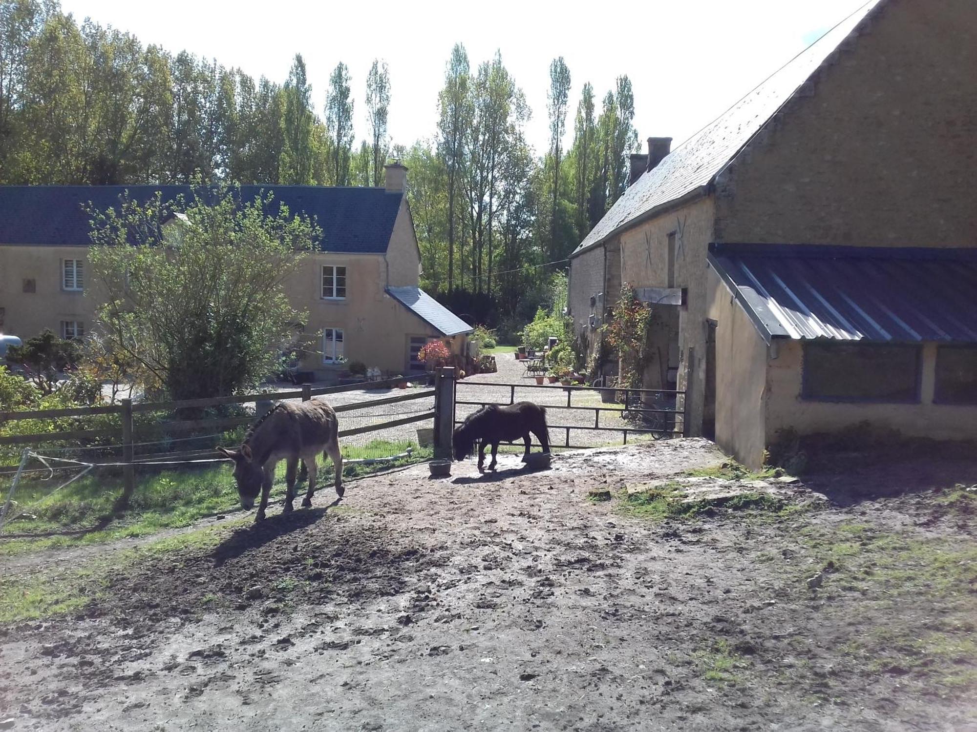 Gite Du Jardin Des Sources Villa Vaux-sur-Seulles Exteriör bild